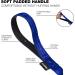 Loutep 30m Dog Training Lead - Durable Nylon Long Line with Padded Handle & Heavy-Duty Hook - Ideal for Obedience Training - 100ft Red & Blue Options - Buy Online on GoSupps.com