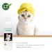 Cat Shampoo No Water | Bio Gentle Care for Sensitive Cats | 250ml Lavaerde - Rinse-Free Formula for Water-Shy Cats - Buy Online on GoSupps.com