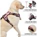 NESTROAD Small Pink Dog Vest Harness & Lead Set - Size S for Puppy Dogs - Reflective & Easy Control Handle - Training & Walking Harness - Buy Online on GoSupps.com