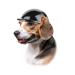 Enjoying Dog Helmet Cat Helmet Outdoor Motorcycle Dog Hard Hat Safety Helmet for Head Protection Black Sports(27lb-44lb)