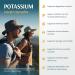 Vykee Nutrition Potassium Citrate Capsules - Supplements for Electrolyte Balance Muscle & Heart Health - Vegan Non-GMO Gluten Free - 500 mg 120 Count - Buy Online on GoSupps.com