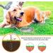 16ft Dog Tie Out Cable with Spiral Ground Stake - Up to 120lb Dogs - Perfect for Playing, Camping, and Backyard - White - Buy Online on GoSupps.com