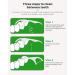 Dental Floss Picks with Portable Cases - 250 Twin-Line High Toughness Toothpicks - Buy Online on GoSupps.com
