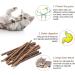 Fanshiontide 21 In 1 Silvervine Chew Sticks Cat Chew Sticks Cat Teeth Nip Cat Sticks Cleaning Teeth Chew Catnip Toys Kitten Cat Teething Toys for Cat Teething Cat Teeth Cleaning and Stress Release - Buy Online on GoSupps.com