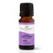 Plant Therapy Organic Clary Sage Essential Oil 10 mL (1/3 oz) 100% Pure Undiluted Natural Aromatherapy Therapeutic Grade