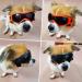 PETLESO Dog Goggles - Anti-UV Safety Sunglasses for Small/Medium Dogs | Eye Protection in Black - Buy Online on GoSupps.com