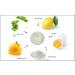 Raya Natural Lecithin Masque | Nourishing Facial Treatment for Dry & Combination Skin | Soothes Inflammation & Minimizes Pores - Buy Online on GoSupps.com