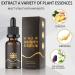 Hair Serum for Hair Growth Ginger Hair Regrowth Serum Ginger Hair Growth Oil for Thinning Repair Hair Follicles Hair Growth Oil for Hair Rapid Growth and Thickening Trengthen Hair Roots 20ML - Buy Online on GoSupps.com