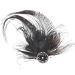 FERCAISH Women's Plumage Mesh Hair Clip 20s Hair Clip Vintage Costume Hair Accessories Fascinator Headwear for Women Birthday Wedding Party (Black)