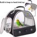 Portable Small Bird Carrier with Standing Perch and Stainless Steel Tray - Collapsible Parrot Parakeet Carrier | Side Access Window - Black - Buy Online on GoSupps.com