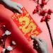 CAXUSD 30pcs Envelopes New Year Gift Festival Red Envelope Traditional Red Pocket Year of Dragon Red Envelops Red Money Pocket Chinese Red Envelope New Year Envelope Large Pack Paper - Buy Online on GoSupps.com