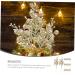 COOPHYA 20pcs artificial berry picks christmas tree Accessories decorate berry christmas artificial plant flower garland cutting Christmas berry branch crafts christmas berries artificial Golden 19X5X5CM - Buy Online on GoSupps.com