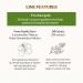 SKINFOOD Honey Sugar Mask 120g - Pore Cleanser & Skin Exfoliator - Buy Online on GoSupps.com