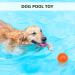 petizer 3-PACK Squeaky Dog Ball Toys Dogs Chew Spiky Ball Floatable Dog Pool toy Toss Fetch Toys for Puppy Rubber TPR Dog Chew Toys for Boredom Teeth Cleaning for Small and Medium Dogs orange.green.blue 6.5cm - Buy Online on GoSupps.com