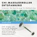 Lapis Vitalis Chi Massage Roller Aventurin - 15cm Gemstone Face & Body Roller for Relaxation - Premium Massage Device in Elegant Metal Box - Buy Online on GoSupps.com
