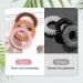 Jesslab Spiral Hair Ties - 10 Traceless Telephone Cable Hair Ties | No-Damage Ponytail Holders for Women & Girls | Color Sorted (#22) - Buy Online on GoSupps.com