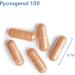 Pycnogenol 100 Pine Bark Supplement - Heart, Brain, Circulation Support - 30 Veg Caps - Buy Online on GoSupps.com