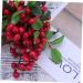 Zerodeko 10 Pcs Wedding Decoration Simulation Berry Branch Christmas Berry Pick Vases for Flowers Flower Vase Artificial Red Berry Stems Floral Plants Picks Display Blueberry Fruit Vacation Redx2pcs Size 5x2pcs - Buy Online on GoSupps.com