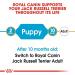 Royal Canin Puppy Food Junior Biscuits for Jack Russell Terrier Puppies Aged 2-10 Months 1.5 kg Bag - Buy Online on GoSupps.com