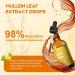 Mullein Drops for Lungs Liquid - Support Respiratory Herbal Supplement Mullein Leaf Extract for Lungs Cleanse with Cordyceps Marshmallow Root & Licorice Root Extract 2 fl oz 1 Pack - Buy Online on GoSupps.com