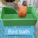 HEYCE Bird Bath for Cage - Pet Bird Baths with 2 Side Hooks | Birdcage Bathroom Bath Tub for Small Parakeet Cockatiel Conure Budgie 3 in 1 Bird Bathing Box Feeding Cup Water Dish - Buy Online on GoSupps.com