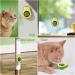 Havenfly Rotatable Catnip Ball Toy - Edible Catnip Wall Roller for Cats | 1PC Cat Toys for Engaging Play - Buy Online on GoSupps.com