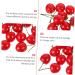 Zerodeko 10pcs Artificial Cherry Fake Cherries Fruit Cognitive Toy Home Kitchen Fruit Decoration Photo Props Fruits Cake Topper Faux Cherries Cherry Tomatoes Child Plastic Kitchen Cabinet - Buy Online on GoSupps.com