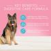 Blue Buffalo True Solutions Natural Adult Wet Dog Food Digestive Care 354g cans (Pack of 12) Digestive Care Wet Dog Food - Buy Online on GoSupps.com