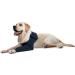 MPS Medical Pet Shirt - TAZ Single Front Leg Sleeve for Dog Small Blue Small - Buy Online on GoSupps.com