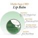 MotherSage CBD Lip Balm - Intensive Hydration and Healing for Dry Chapped Lips with 75mg CBD Shea Butter and Natural Oils | Vegan Cruelty Free THC Free | 15ml - Buy Online on GoSupps.com