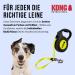 Buy Cong Roll-Out Dog Leash 5m for Large Dogs up to 50kg | High-Quality with Break & Lock System | Soft Handle & Reflective Belt - Yellow-Black - Buy Online on GoSupps.com