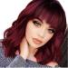 Red Burgundy Short Wavy Wigs with Bangs for Women  Wine Red Curly Shoulder Length  Bob Wigs for Women  Heat Resistant Fiber Natural Wigs for Daily Using Reddish