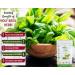 CROW Pack of 2 Tulsi Powder Moringa Powder (500 GM Each) Combo Pack 1 KG by B Naturall - Buy Online on GoSupps.com
