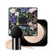 Yjkedfh Air Cushion Concealer Air Cushion Bb Cream Foundation Air Cushion Moisturizing BB Cream | Hydrating & Brightening Liquid Foundation Air Cushion Cream Cover
