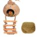 Tfwadmx Coconut Hide with Ladder, Natural Coconut Fiber Hanging Birdhouse Cage, Coconut Bird Shell Breeding Nest for Parrot Parakeet Lovebird Finch Canary (2 Pcs) 1PCS