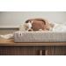 Buy Jollein Changing Mat Cover Soft Waves Nougat (50x70 cm) - Premium Quality & International Shipping - Buy Online on GoSupps.com