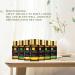 MAYJAM 28Pcs Essential Oil Gift Set for Diffusers, Skin Care, Massage - 24 x 5ml Pure Oils and 4 x 10ml Blends - Perfect Gift for Friend - Buy Online on GoSupps.com
