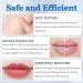 Rosarden Ginger Plump Lipstick - Daily Lip Gloss for Moisturizing and Reducing Lines - Buy Online on GoSupps.com