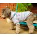Cozy Fleece Dog Hoodie & Pajama - Fluffy Sweater for Small to Medium Dogs | French Bulldog Dachshund Chihuahua | Sizes S to XL - Gray - Buy Online on GoSupps.com