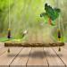NCTP Handmade Chicken Swing Toy with Natural Wooden Perch Stand for Hens - Perfect for Parrots, Macaws, and Bird Training - Buy Online on GoSupps.com