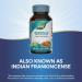 Nature's Way Boswellia Premium Extract Supports Joint Mobility* 307 mg Boswellia serrata Extract per Serving Frankincense Supplement Gluten Free & Vegan - 60 Tablets (Packaging May Vary) - 2 Pack 60 Count (Pack of 2) - Buy Online on GoSupps.com