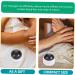 Clispeed Roller Ball Manual Massage Device | Handheld Muscle Massager & Essential Oil Globe | Perfect for Fitness & Relaxation - Buy Online on GoSupps.com