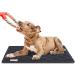 HOMBYS Chew Proof Dog Crate Pad 41x28 - Durable and Comfortable - Buy Online on GoSupps.com
