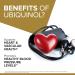 Qunol Ubiquinol CoQ10 Lot de 60 g lules molles 100 mg Ubiquinol Forme active de coenzyme Q10 antioxydant pour la sant cardiaque niveaux de pression art rielle sains b n fique pour les - Buy Online on GoSupps.com