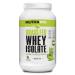 NutraBio Grass Fed Whey Isolate Protein Powder - 25G of Protein Per Scoop - Sugar Free Natural Lean Muscle Protein Supplement - Matcha Latte - 2 Pounds, 29 Servings Matcha Latte 2 Pound (Pack of 1)
