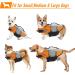 Alagirls Dog Lifeguard Vest - Reflective Adjustable Safety Buoyancy Aid for Dogs | Strong Handle | Size S (40-50cm) - Orange - Buy Online on GoSupps.com