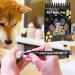 Dog Nail Polish Premium Quality and Safe Pet Nail Color | Non-Toxic and Easy-to-Apply Nail Polish for Dogs Perfect for Grooming - Buy Online on GoSupps.com
