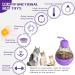 Fostbeen Interactive Cat Toys - Magic Wand Funny Balls & Slow Feeder for Kittens & Cats | Weight Loss & Treat Edition Gift - Buy Online on GoSupps.com
