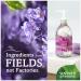 Seventh Generation Lavender Hand Wash - 12oz - Pack of 1 - Buy Online on GoSupps.com