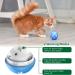 AUKL Interactive Dog Toy | Wicked Ball - Self Moving & Motion Activated - Buy Online on GoSupps.com